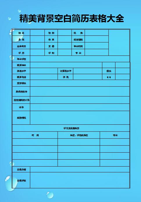 精美绝伦的空白背景简历表格大全